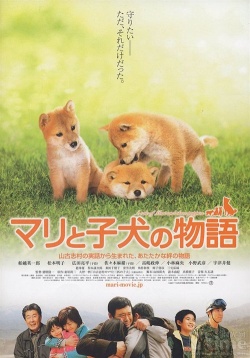 A Tale Of Mari And Three Puppies 