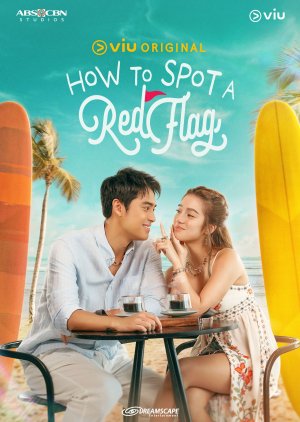 How to Spot a Red Flag (2024) 