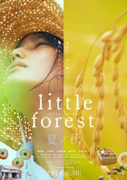 Little Forest Summer Autumn 