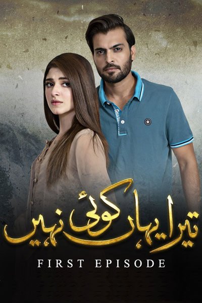 Tera Yahan Koi Nahin (2019) 