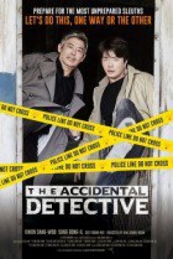The Accidental Detective 