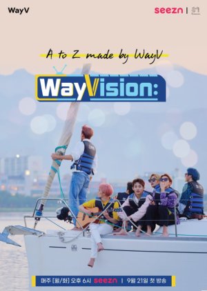 WayVision 